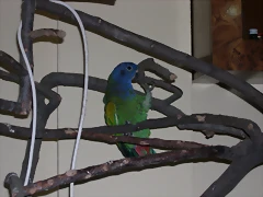 DSCN0462 DSCN0462