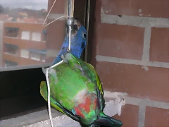 DSCN0485 DSCN0485