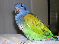 DSCN0470 DSCN0470