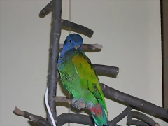 DSCN0452 DSCN0452