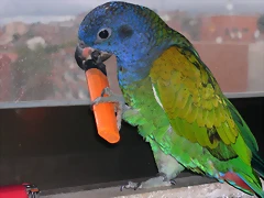 DSCN0480 DSCN0480