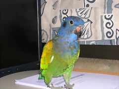 DSCN0476 DSCN0476