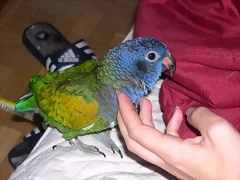 DSCN0436 DSCN0436