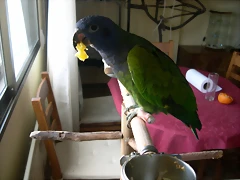 DSCN0465 DSCN0465