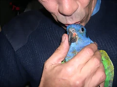 DSCN0505 DSCN0505