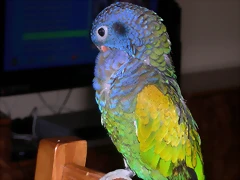 DSCN0447 DSCN0447