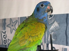 DSCN0477 DSCN0477