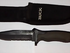 buck
