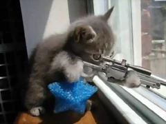 1sniper
