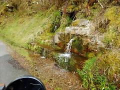 DSCN9175.JPEG DSCN9175.JPEG