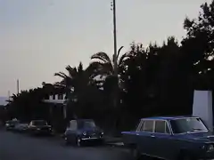 Palma 1967