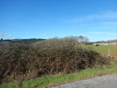 DSCN2492 DSCN2492