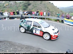 temporal 317 temporal 317