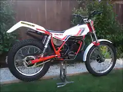 1984 FANTIC  300  u