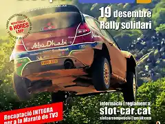 CARTELL_RALLY_02