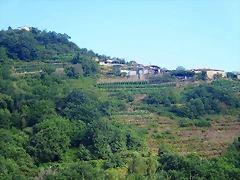 33-IMG_2373