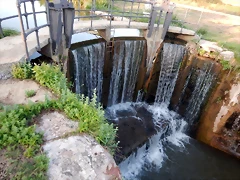 DSCN9542 DSCN9542