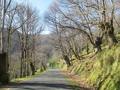 IMG_0237 IMG_0237