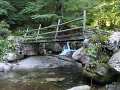 IMG_7157 IMG_7157