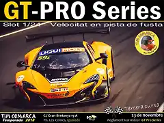Cartell GT Pro - Cursa 3