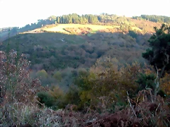 DSCN6673 DSCN6673