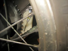 IMG_2460 IMG_2460