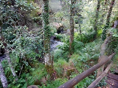 DSCN8464 DSCN8464