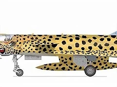 cheetah-c4