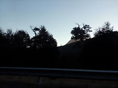 IMG_20170315_082904 IMG_20170315_082904