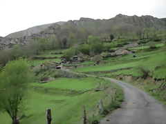 IMG_6079 IMG_6079