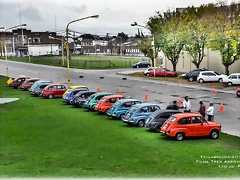 DSC_0598 DSC_0598