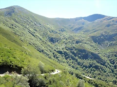 IMG_8303 IMG_8303