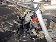 DSCN5893 DSCN5893