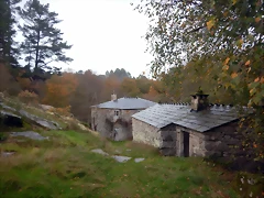 DSCN1833 DSCN1833