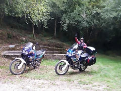 IMG_0484'5 IMG_0484'5