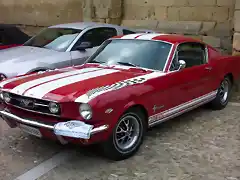 mustang 055