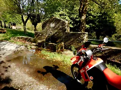 DSCN2061