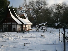 Amsterdam 2010 1112