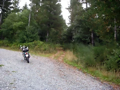 IMG_0207 IMG_0207