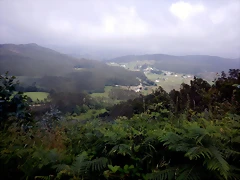 DSCN5785 DSCN5785