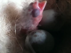IMAG0664