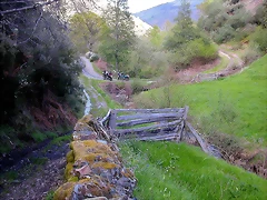 DSCN9091 DSCN9091
