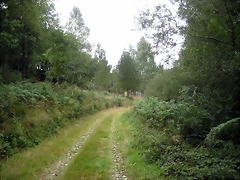 IMG_0249 IMG_0249