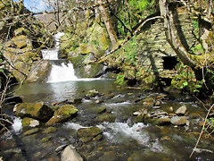 IMG_0120 IMG_0120
