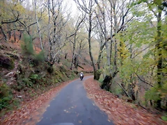 DSCN2915 DSCN2915