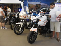 SDC14385 SDC14385
