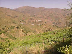 IMAG0085