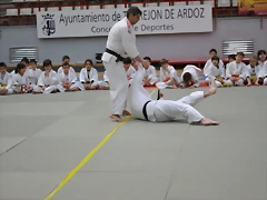 DSC_0074 DSC_0074