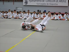 DSC_0087 DSC_0087