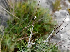 IMG_20210105_160540